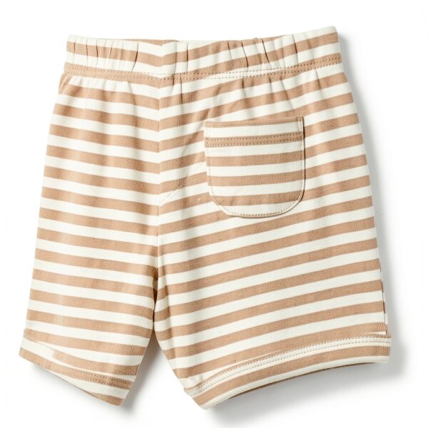 Amazon Essentials Baby Bodysuit Cotton Rib Short Sleeve Set-6