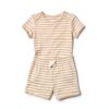 Amazon Essentials Baby Bodysuit Cotton Rib Short Sleeve Set-1