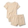 Amazon Essentials Baby Bodysuit Soft Cotton Rib Unisex-2