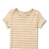 Amazon Essentials Baby Bodysuit Cotton Rib Short Sleeve Set-3