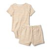 Amazon Essentials Baby Bodysuit Cotton Rib Short Sleeve Set-2