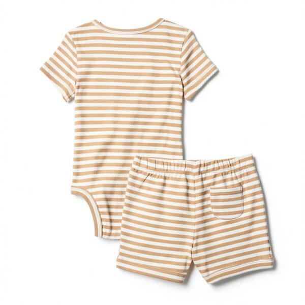 Amazon Essentials Baby Bodysuit Cotton Rib Short Sleeve Set-2