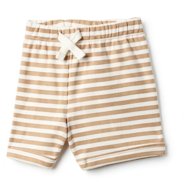 Amazon Essentials Baby Bodysuit Cotton Rib Short Sleeve Set-5