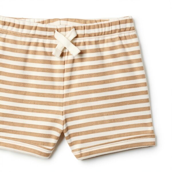 Amazon Essentials Baby Bodysuit Soft Cotton Rib Unisex-5